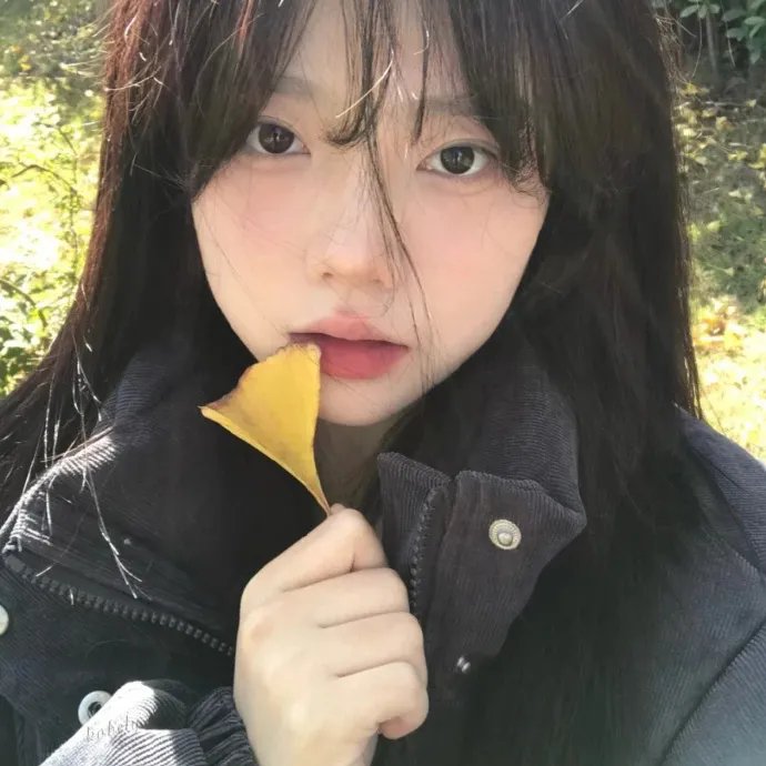 明月几时有国语